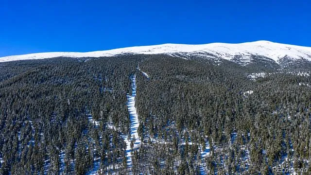 940 Lewsader Road Alma, CO 80420