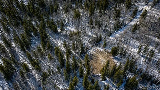 940 Lewsader Road Alma, CO 80420
