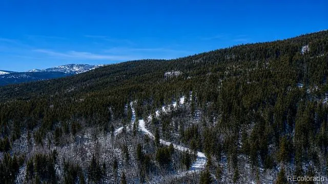940 Lewsader Road Alma, CO 80420