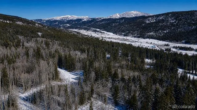 940 Lewsader Road Alma, CO 80420