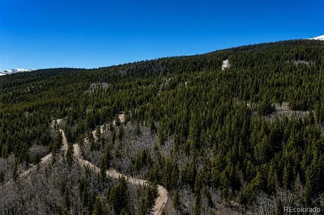 940 Lewsader Road Alma, CO 80420