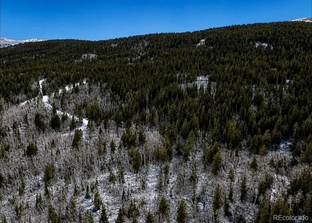 940 Lewsader Road Alma, CO 80420