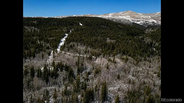 940 Lewsader Road Alma, CO 80420