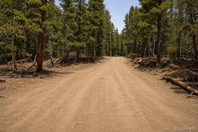 940 Lewsader Road Alma, CO 80420