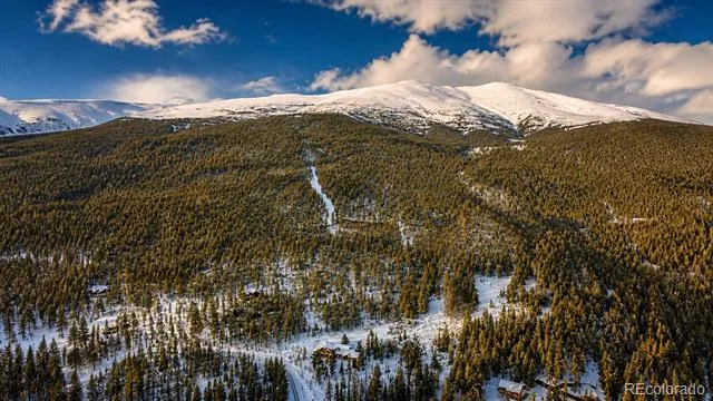 940 Lewsader Road Alma, CO 80420