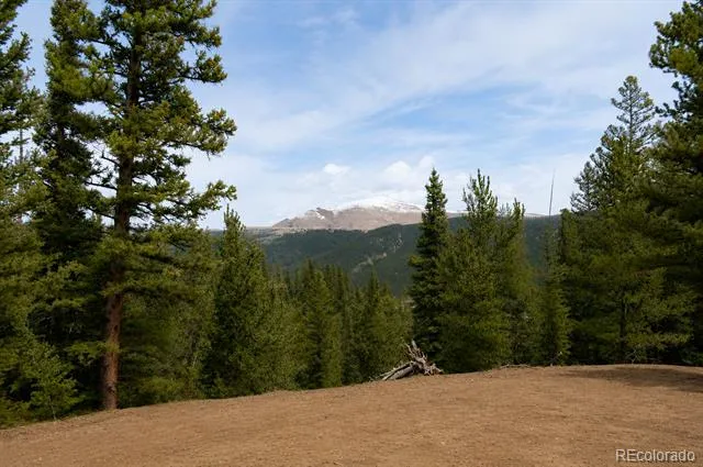 940 Lewsader Road Alma, CO 80420