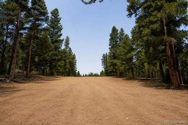 940 Lewsader Road Alma, CO 80420