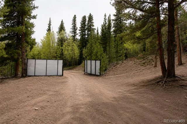 940 Lewsader Road Alma, CO 80420