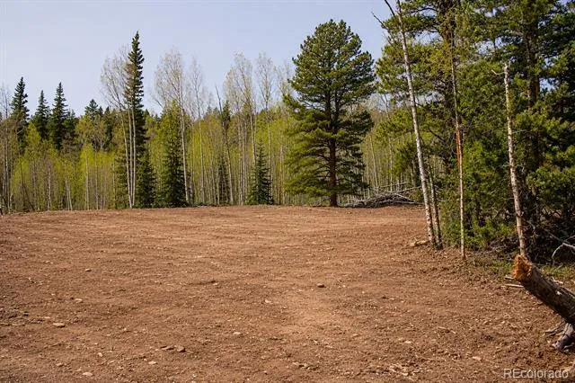 940 Lewsader Road Alma, CO 80420