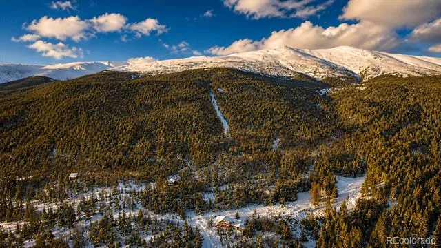 940 Lewsader Road Alma, CO 80420