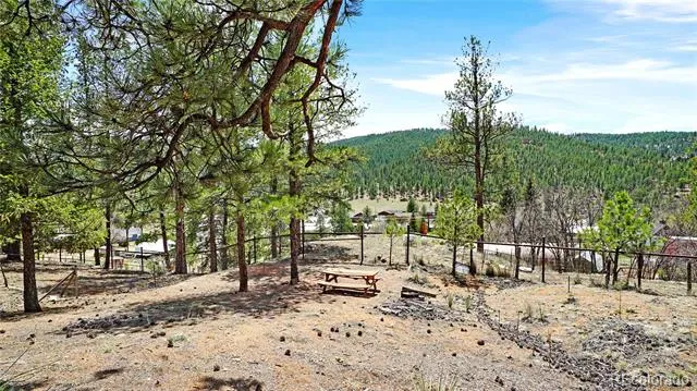 28368 Cedar Avenue Pine, CO 80470