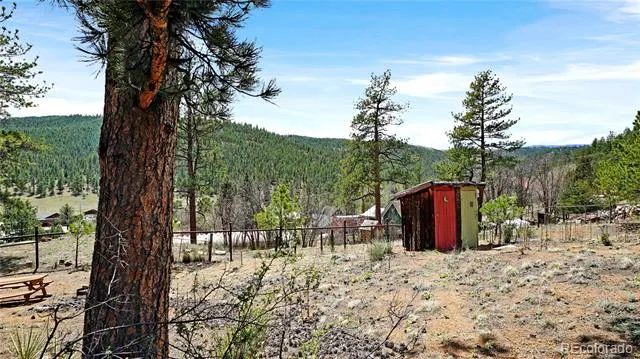 28368 Cedar Avenue Pine, CO 80470