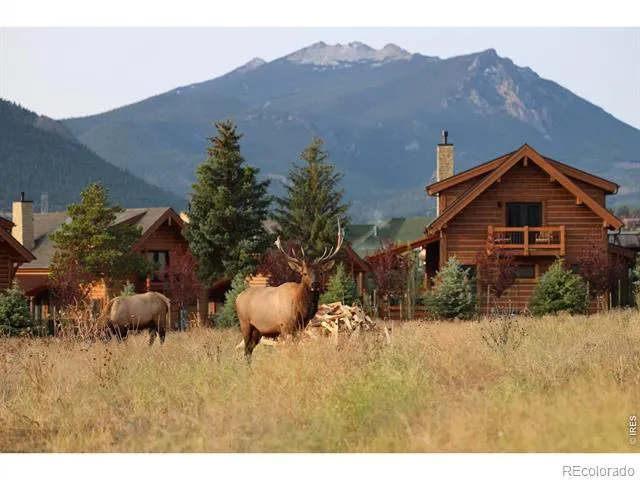1721 Theater Way Estes Park, CO 80517