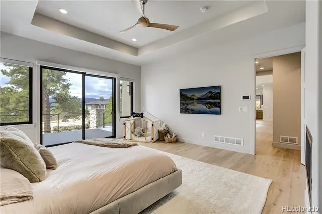 17110 Copper Valley Ct Monument, CO 80132