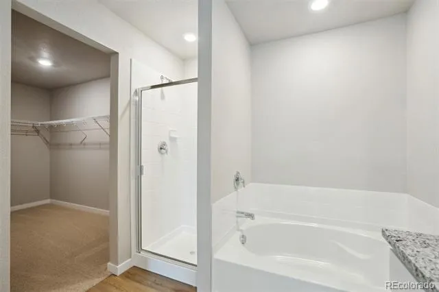 966 Cascade Falls Street Severance, CO 80550