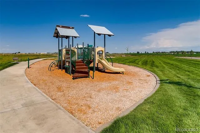 966 Cascade Falls Street Severance, CO 80550