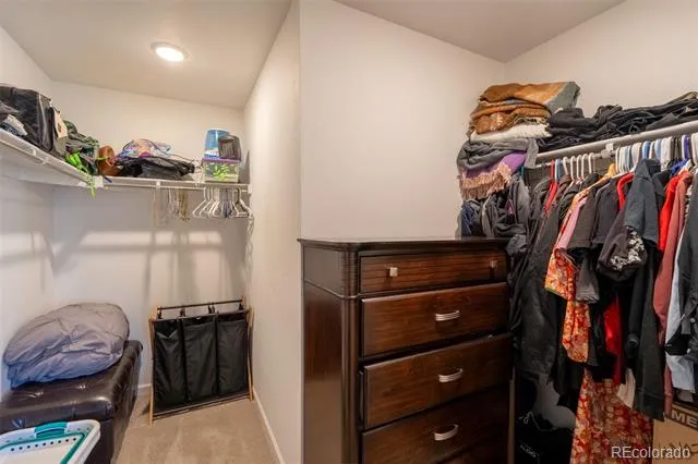 15619 Kitchener Way Monument, CO 80132