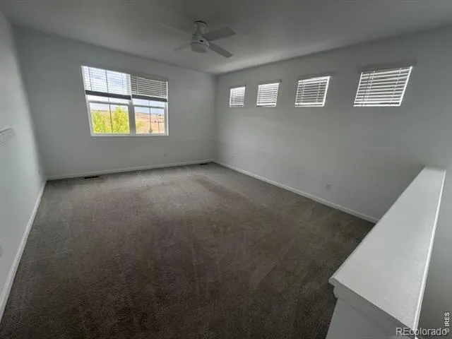 2419 White Pelican Avenue Loveland, CO 80538