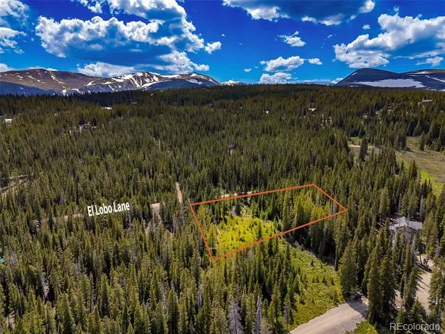 632 El Lobo Lane Fairplay, CO 80440