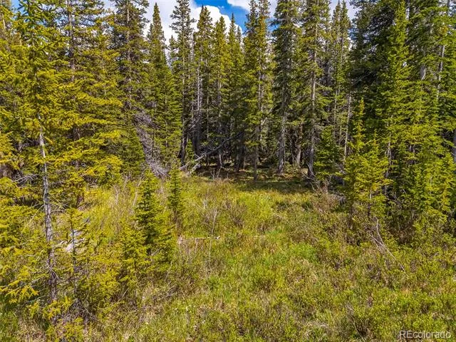 632 El Lobo Lane Fairplay, CO 80440