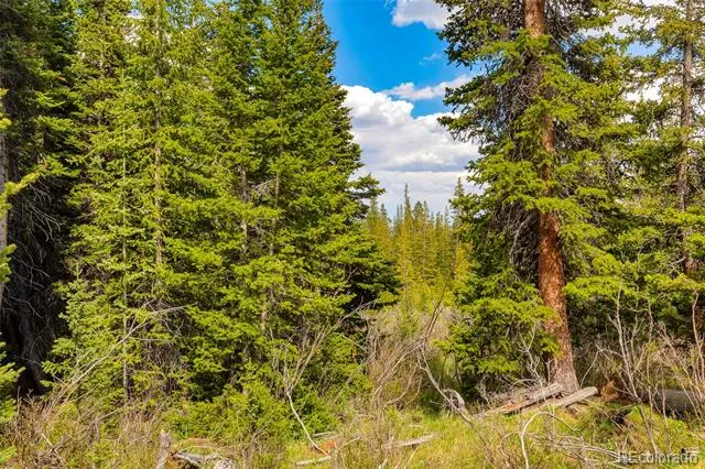 632 El Lobo Lane Fairplay, CO 80440