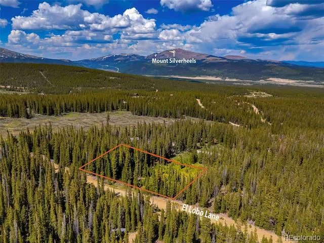 632 El Lobo Lane Fairplay, CO 80440