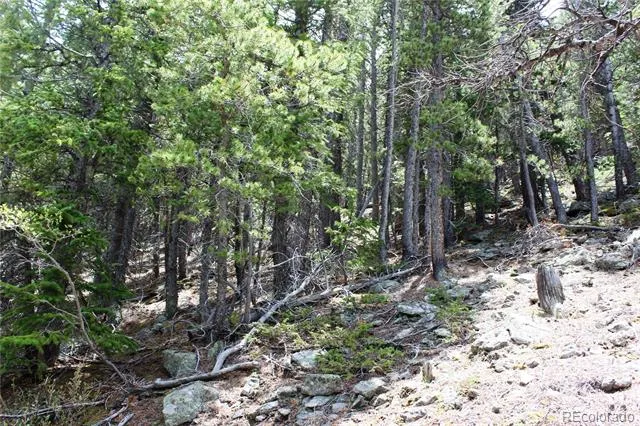 16564A Pennsylvania Idaho Springs, CO 80461