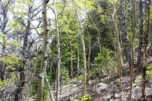 16564A Pennsylvania Idaho Springs, CO 80461