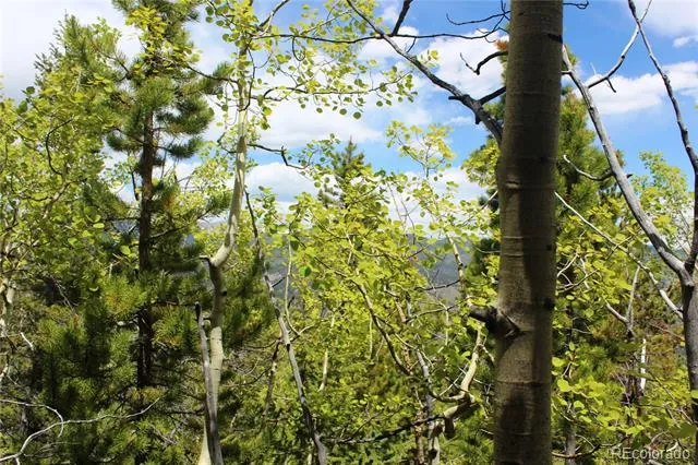 16564A Pennsylvania Idaho Springs, CO 80461