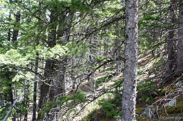 16564A Pennsylvania Idaho Springs, CO 80461