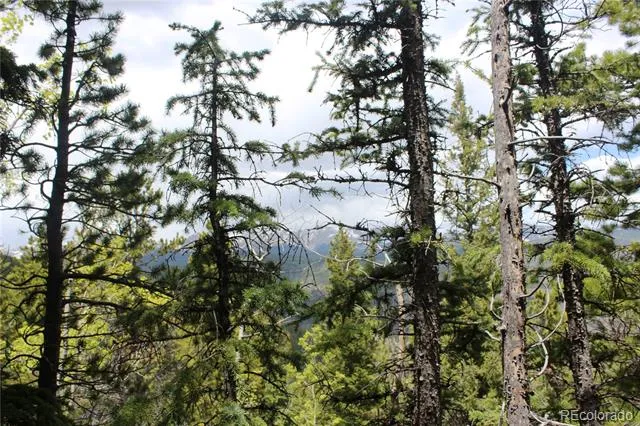 16564A Pennsylvania Idaho Springs, CO 80461