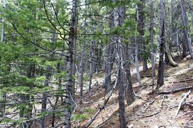 16564A Pennsylvania Idaho Springs, CO 80461