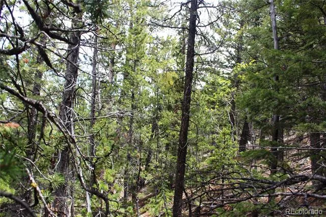 16564A Pennsylvania Idaho Springs, CO 80461