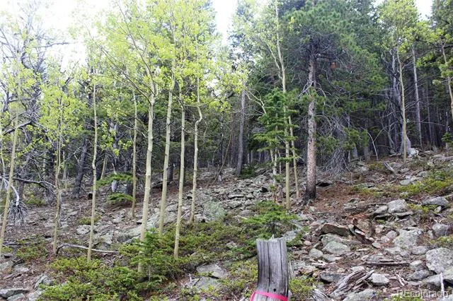 16564A Pennsylvania Idaho Springs, CO 80461