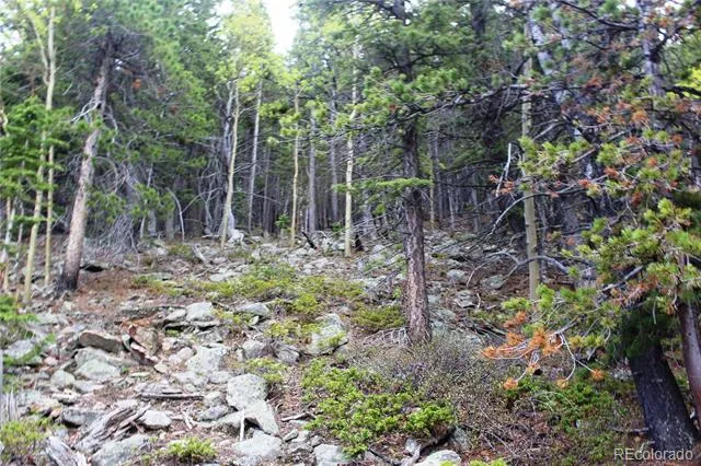 16564A Pennsylvania Idaho Springs, CO 80461