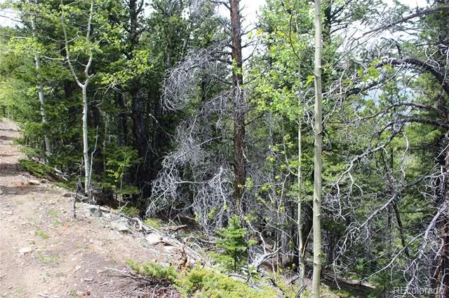 16564A Pennsylvania Idaho Springs, CO 80461