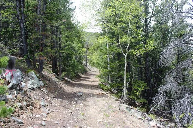 16564A Pennsylvania Idaho Springs, CO 80461