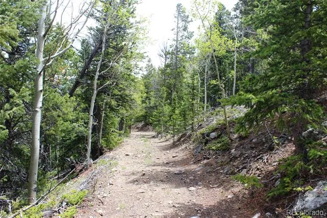 16564A Pennsylvania Idaho Springs, CO 80461