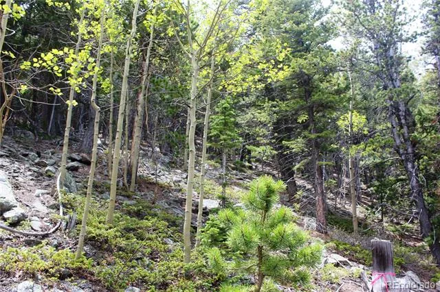 16564A Pennsylvania Idaho Springs, CO 80461