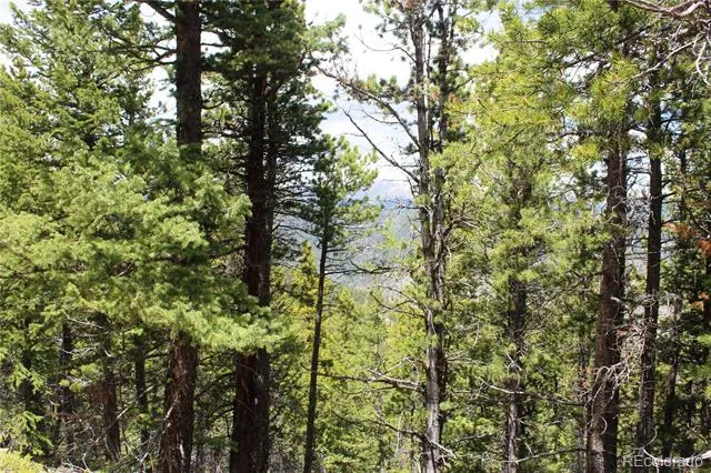 16564A Pennsylvania Idaho Springs, CO 80461