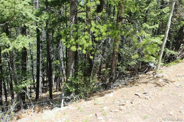 16564A Pennsylvania Idaho Springs, CO 80461