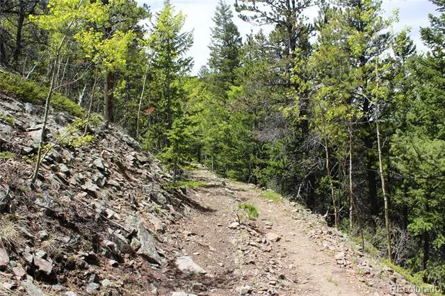 16564A Pennsylvania Idaho Springs, CO 80461