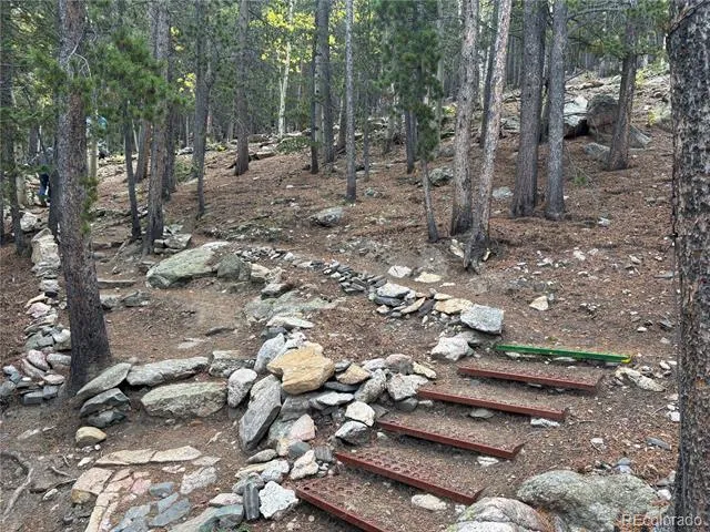 3504 Hidden Wilderness Road Idaho Springs, CO 80439