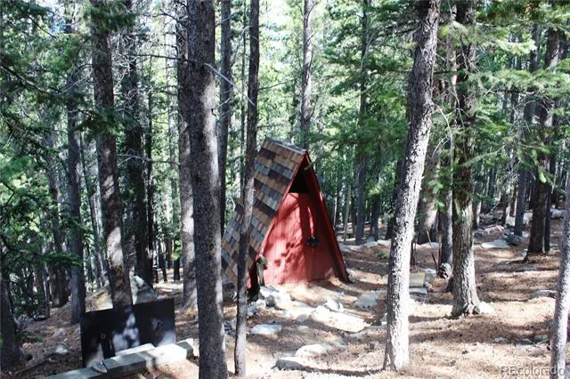 3504 Hidden Wilderness Road Idaho Springs, CO 80439