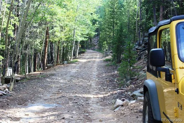 3504 Hidden Wilderness Road Idaho Springs, CO 80439
