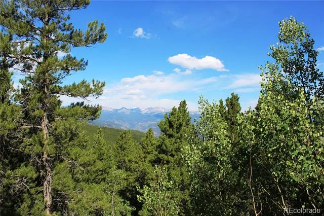 3504 Hidden Wilderness Road Idaho Springs, CO 80439
