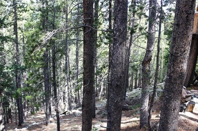 3504 Hidden Wilderness Road Idaho Springs, CO 80439