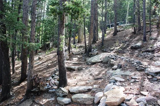 3504 Hidden Wilderness Road Idaho Springs, CO 80439