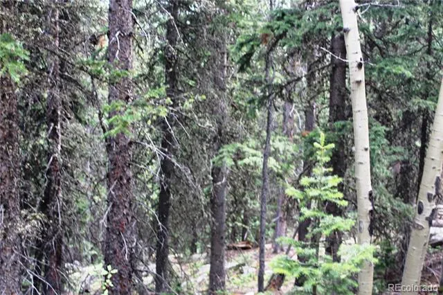 00 Hidden Wilderness Road Idaho Springs, CO 80452
