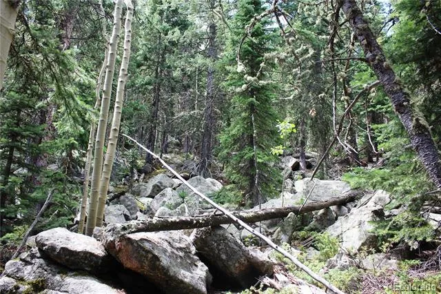 00 Hidden Wilderness Road Idaho Springs, CO 80452